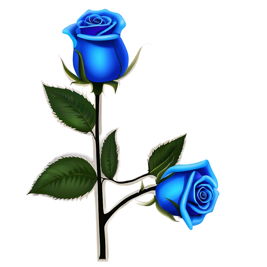 Blue Rose Wallpaper Png Wtq91