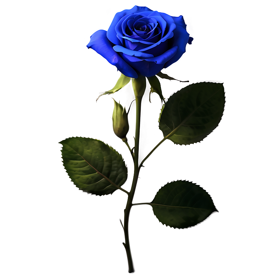 Blue Rose With Leaves Png Pgc