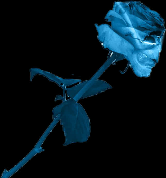 Blue Roseon Black Background