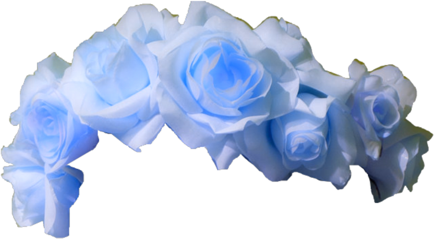 Blue Roses Transparent Background