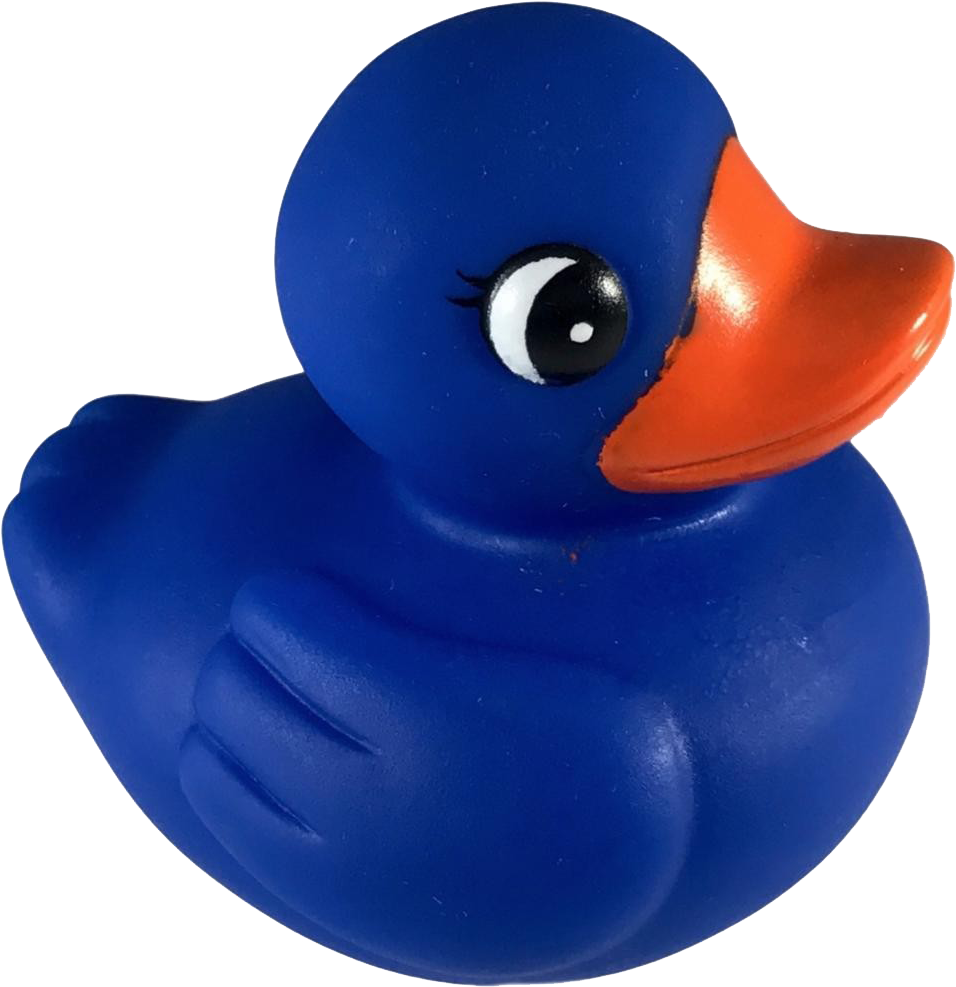 Blue Rubber Duck Toy