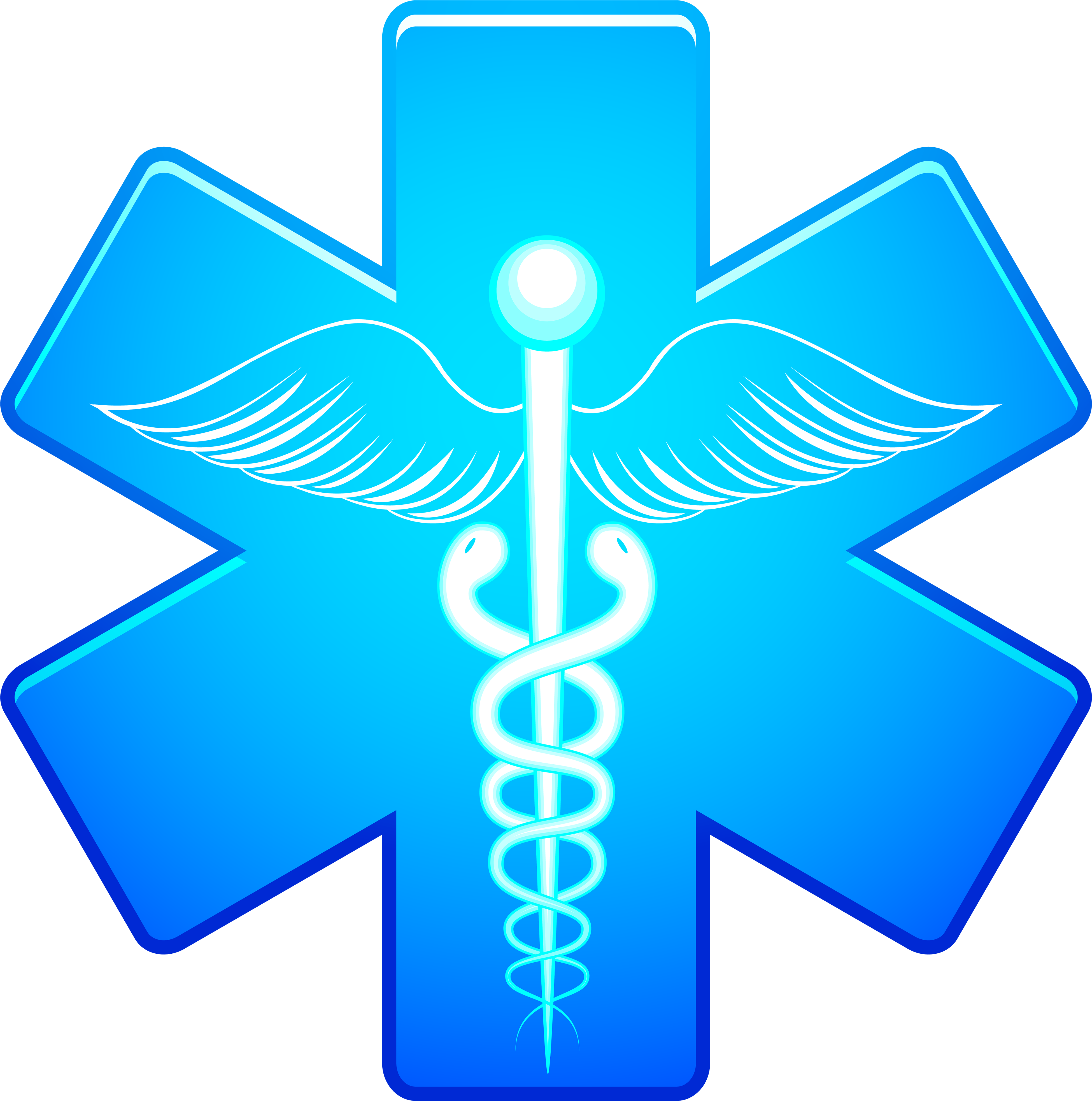 Blue Starof Life Medical Symbol