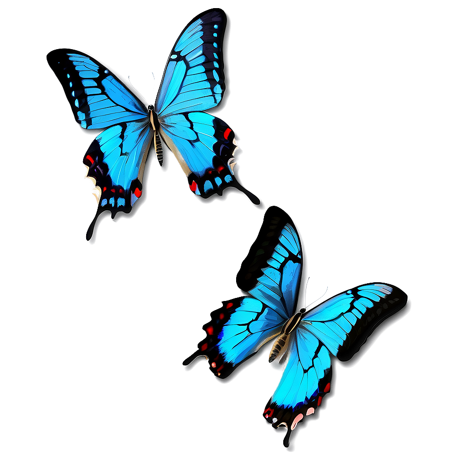 Blue Swallowtail Butterflies Png 06132024