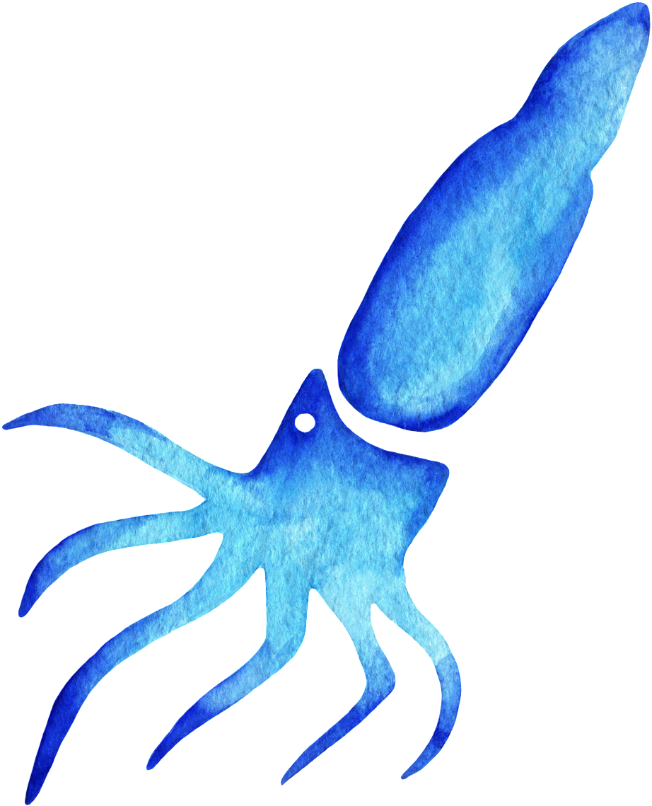 Blue Watercolor Squid Illustration