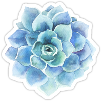 Blue Watercolor Succulent Artwork