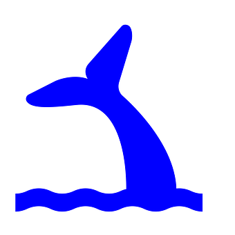 Blue Whale Icon Simple