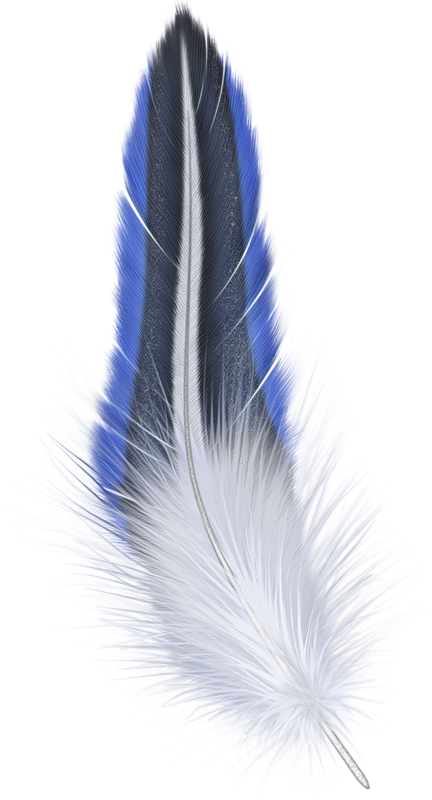 Blueand White Feather Artwork