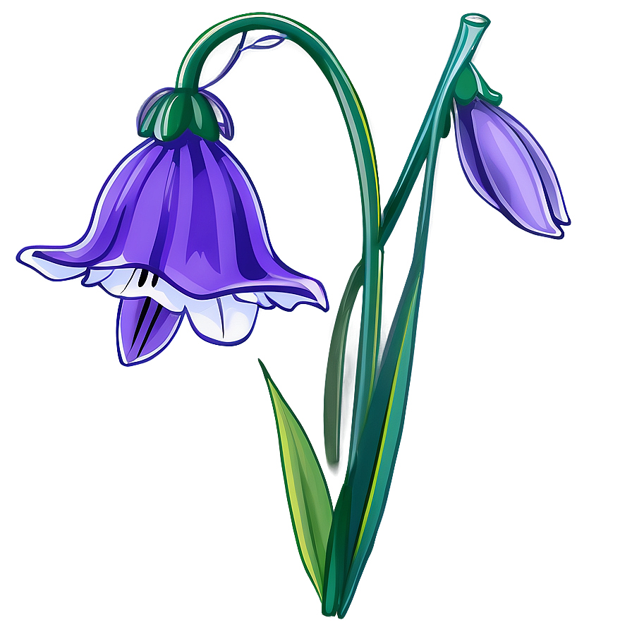 Bluebell Flower Transparent Png 05252024