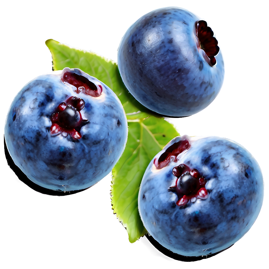 Blueberries Art Png 05242024