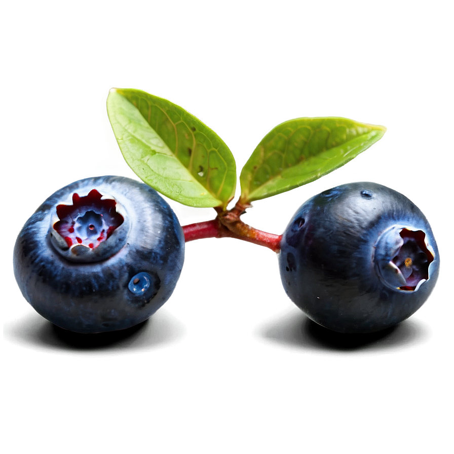 Blueberries For Baking Png 51