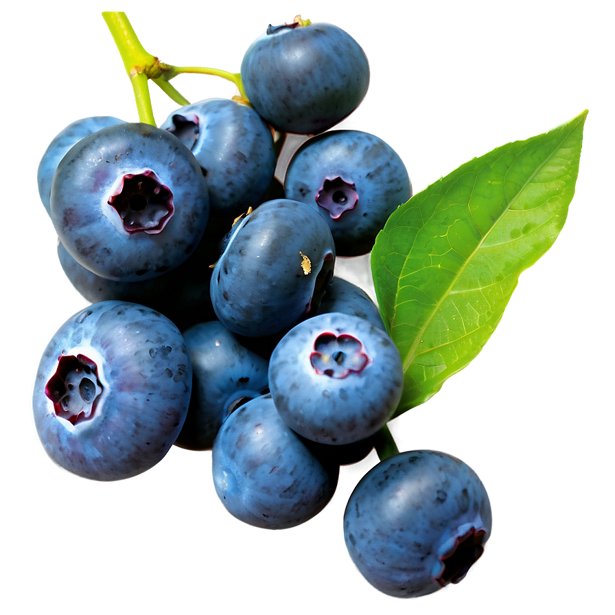 Blueberries In Market Png 58