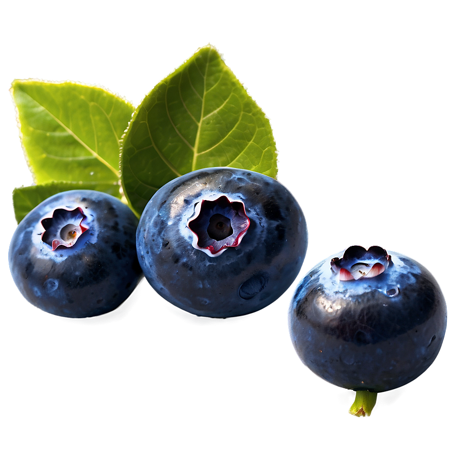 Blueberries With Leaves Png Fwn42