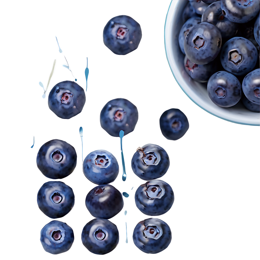 Blueberry Artisanal Preparation Png 05212024