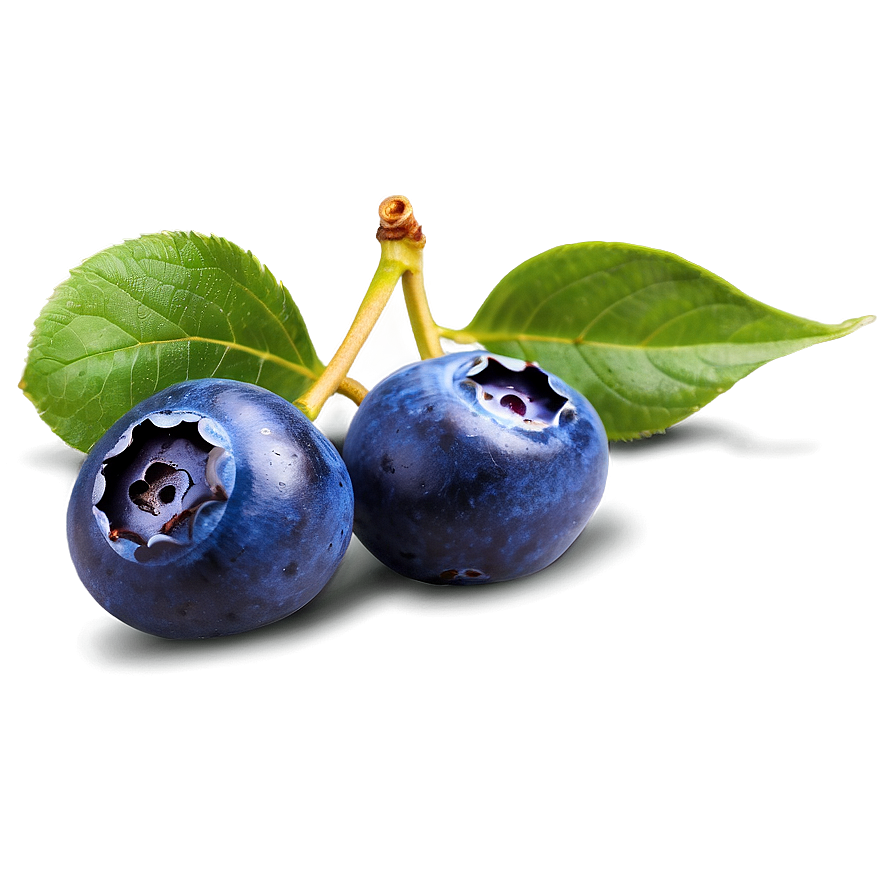 Blueberry Background Png Kvv99