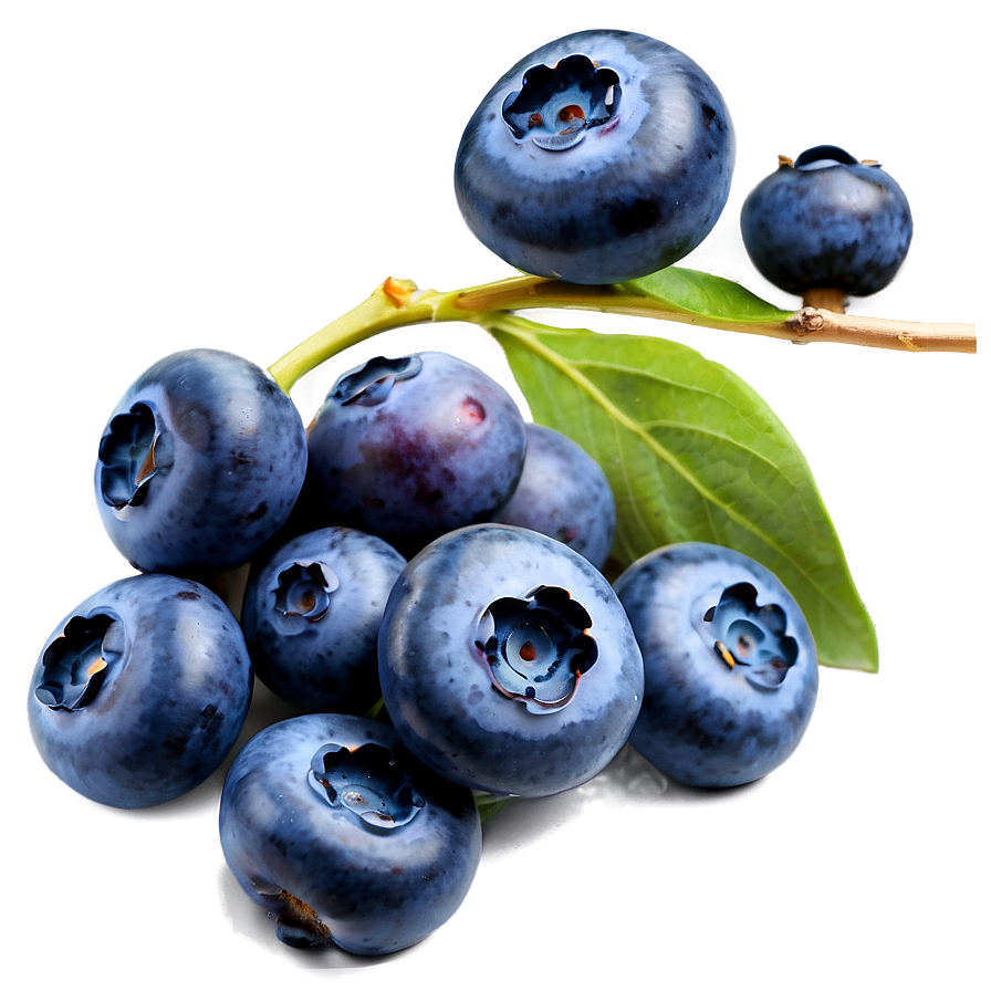 Blueberry Closeup Png 05242024