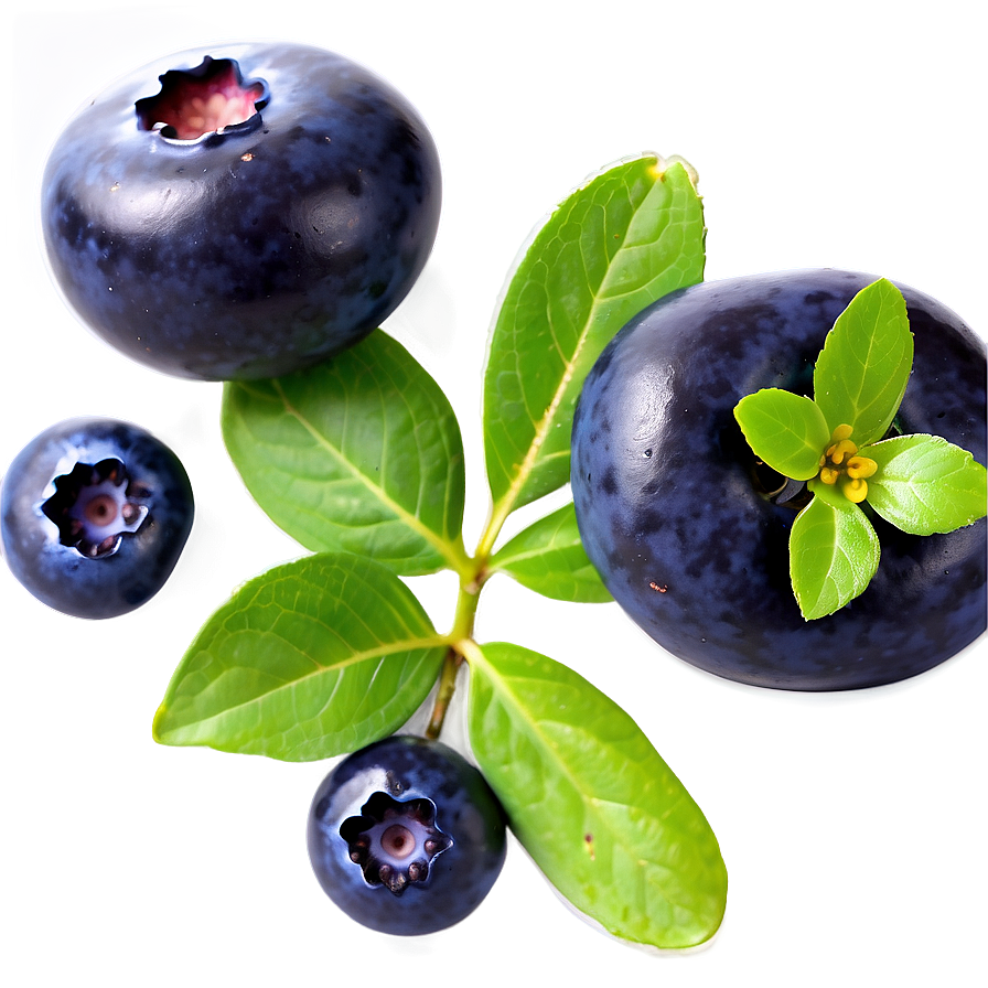 Blueberry Glaze Recipe Png Yik