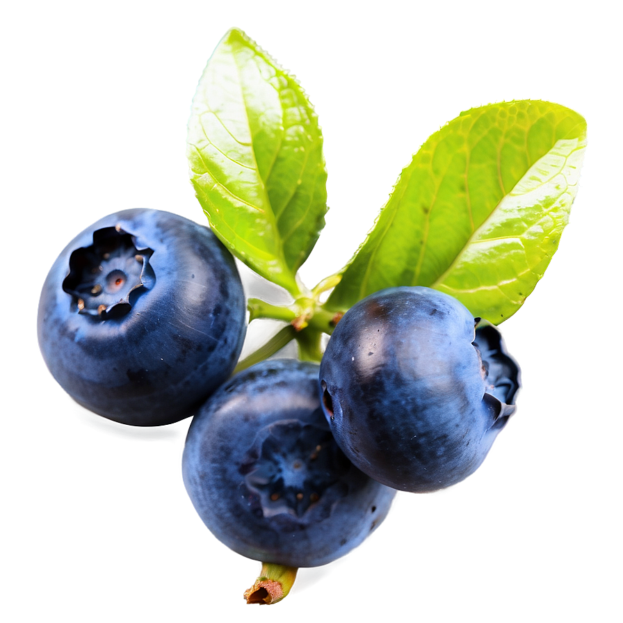 Blueberry Health Boost Png Wcc