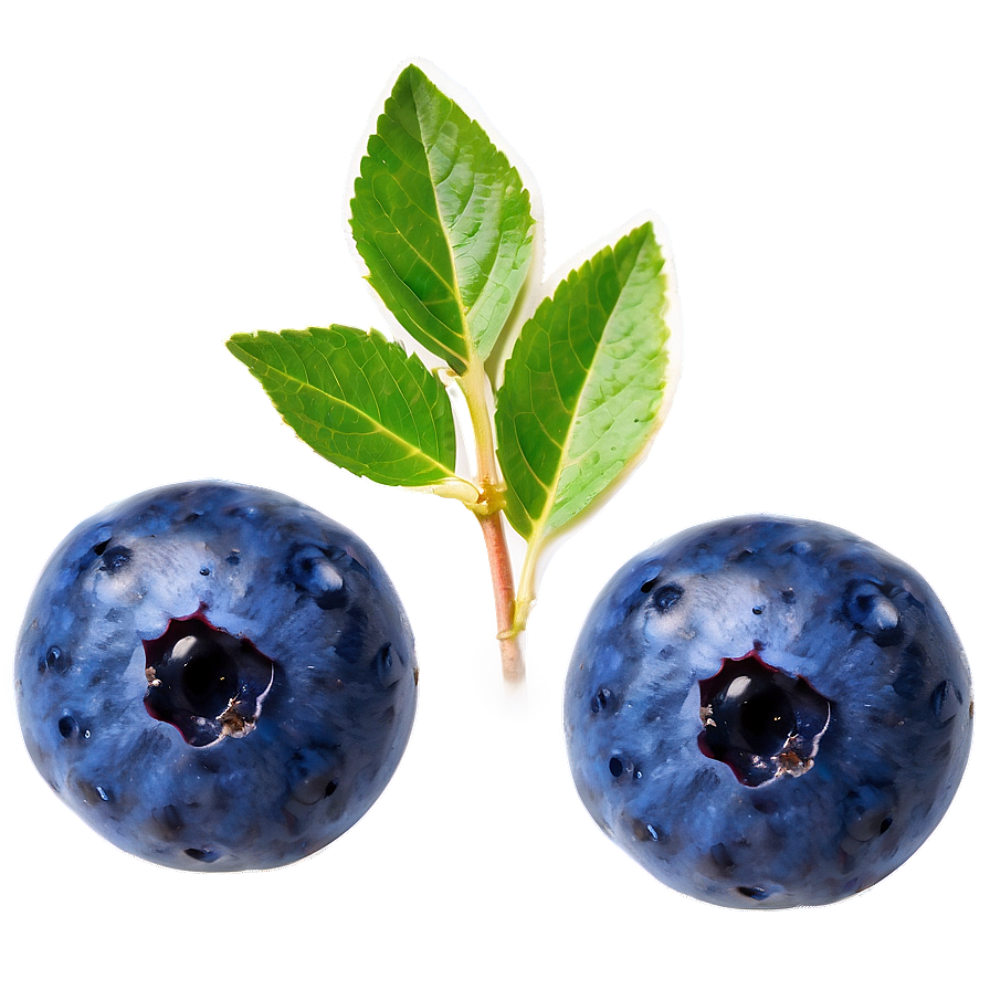 Blueberry Natural Beauty Png 05212024