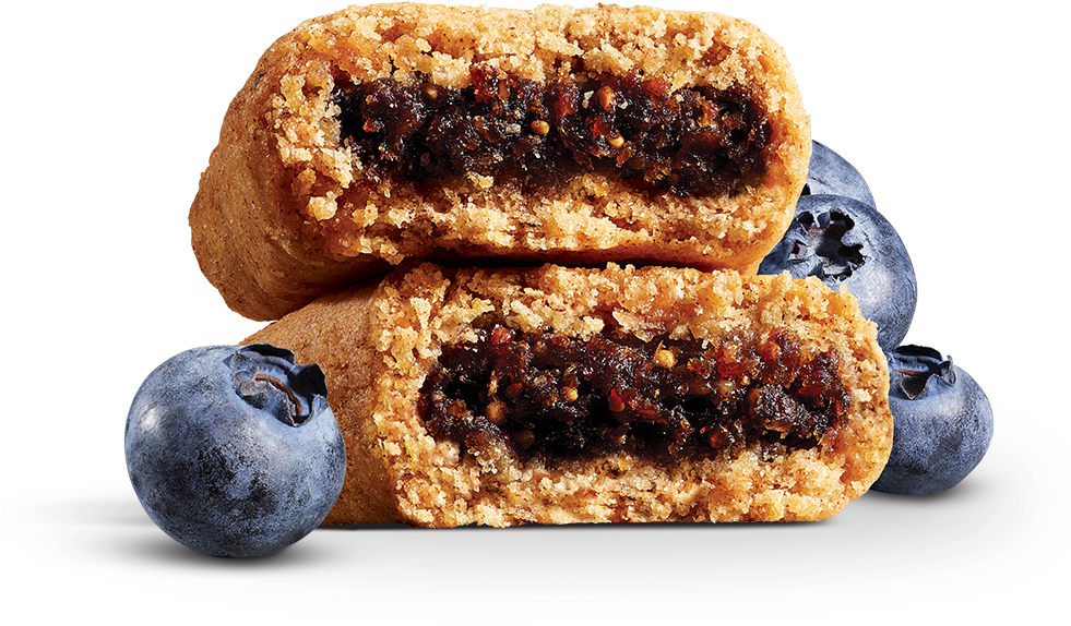 Blueberry Oatmeal Barswith Fresh Blueberries