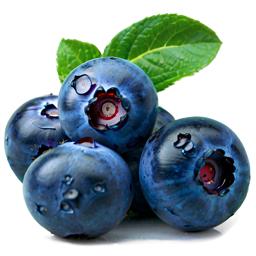 Blueberry Photography Png Ruo78