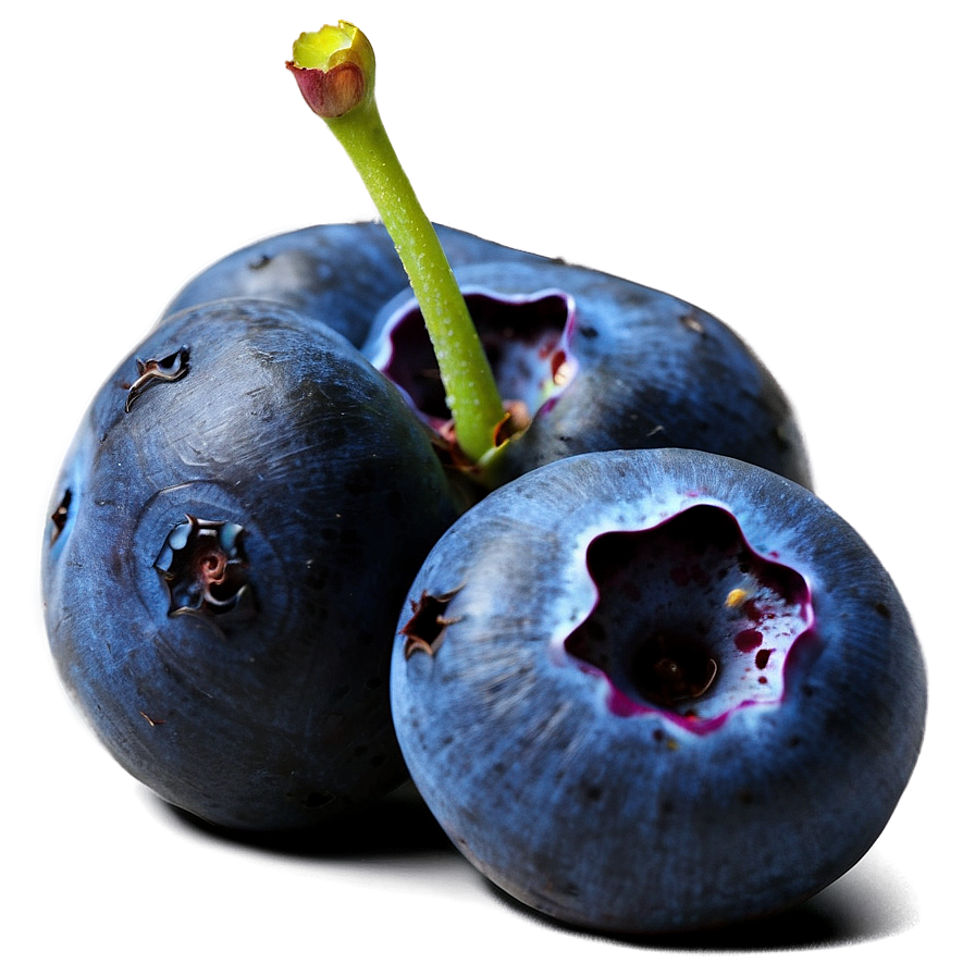 Blueberry Recipe Feature Png Vpr44