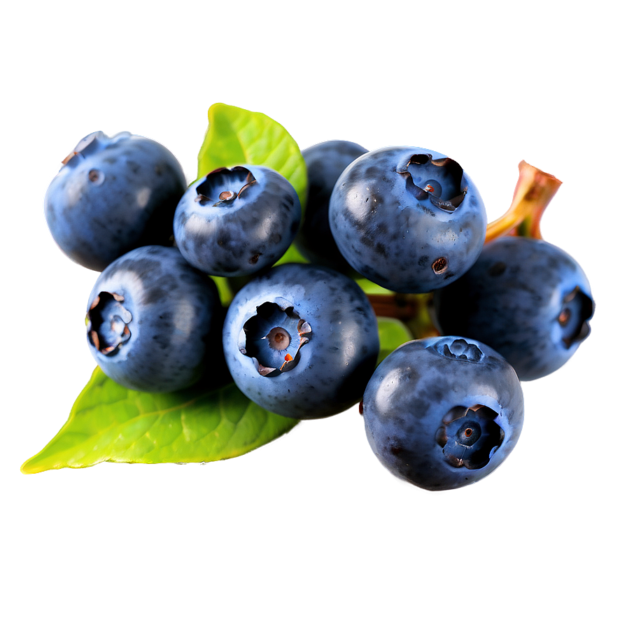 Blueberry Sprig Png Rmn