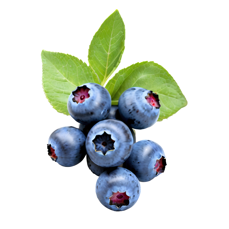 Blueberry Vegan Snack Png 84