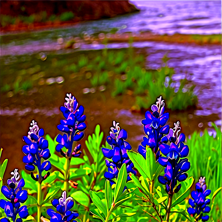 Bluebonnet By The River Png 37