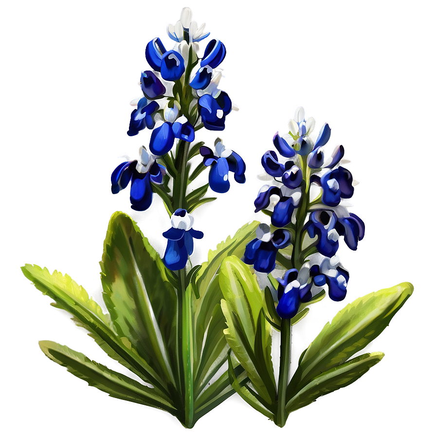 Bluebonnet By The River Png Iox