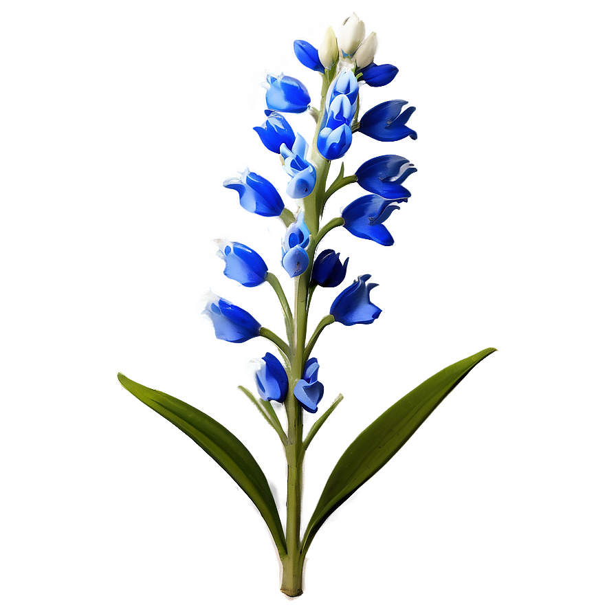 Bluebonnet Floral Pattern Png 3