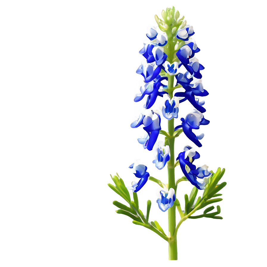 Bluebonnet Natural Habitat Png Nxb