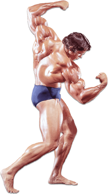 Bodybuilder Classic Pose.png