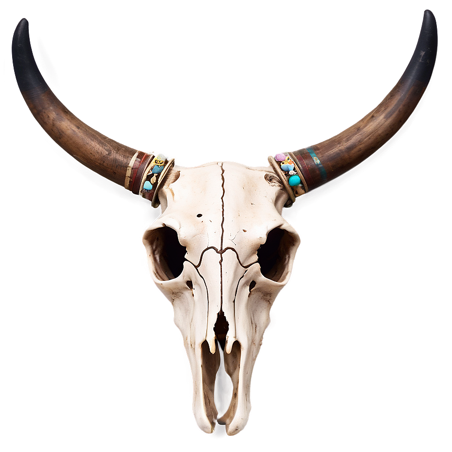 Boho Chic Cow Skull Png 06132024