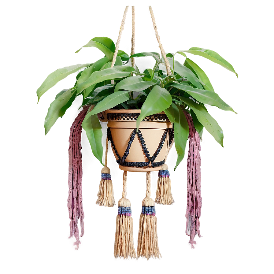 Boho Hanging Plant Png 93