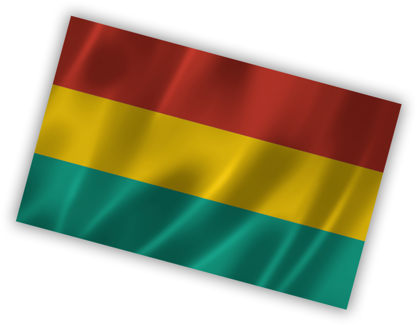 Bolivian Flag Waving