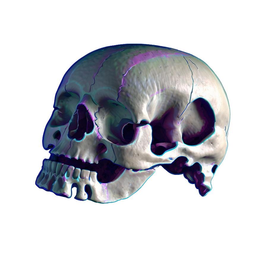 Bone Structure Png Bmq67