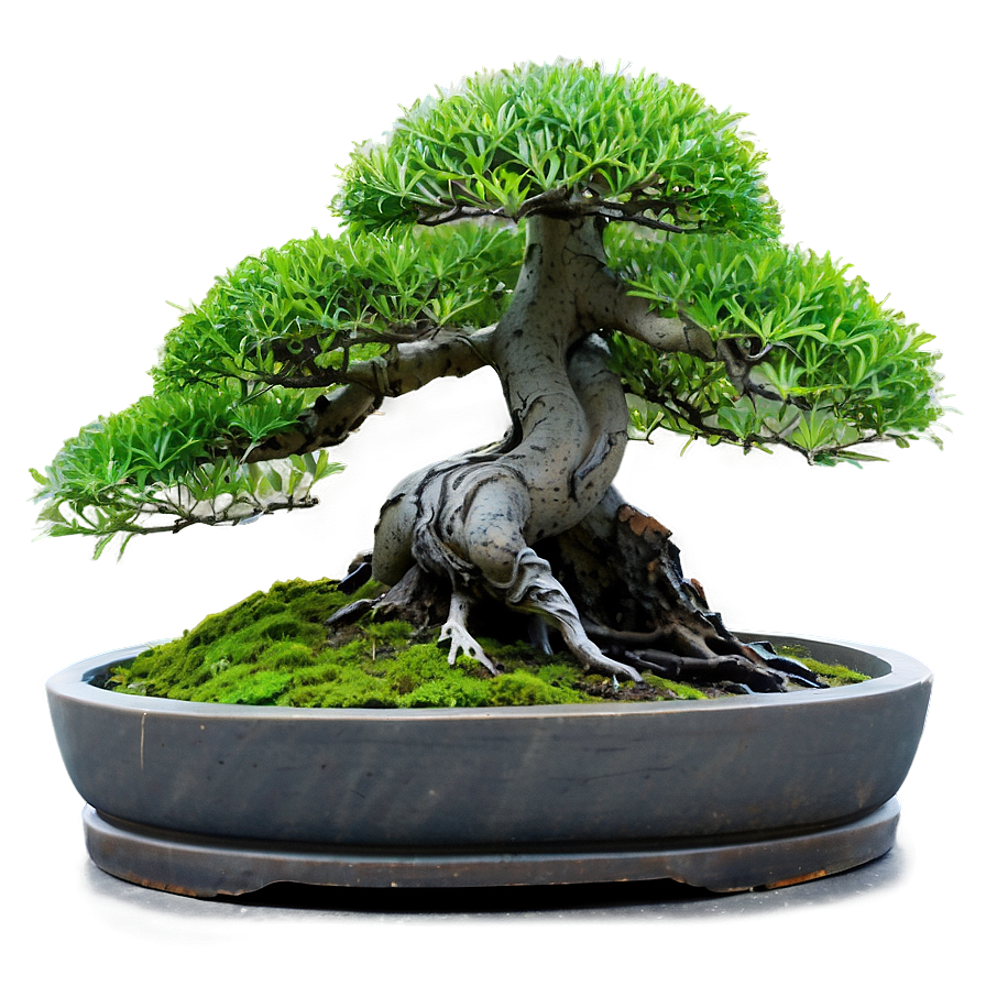 Bonsai Forest Scene Png 4