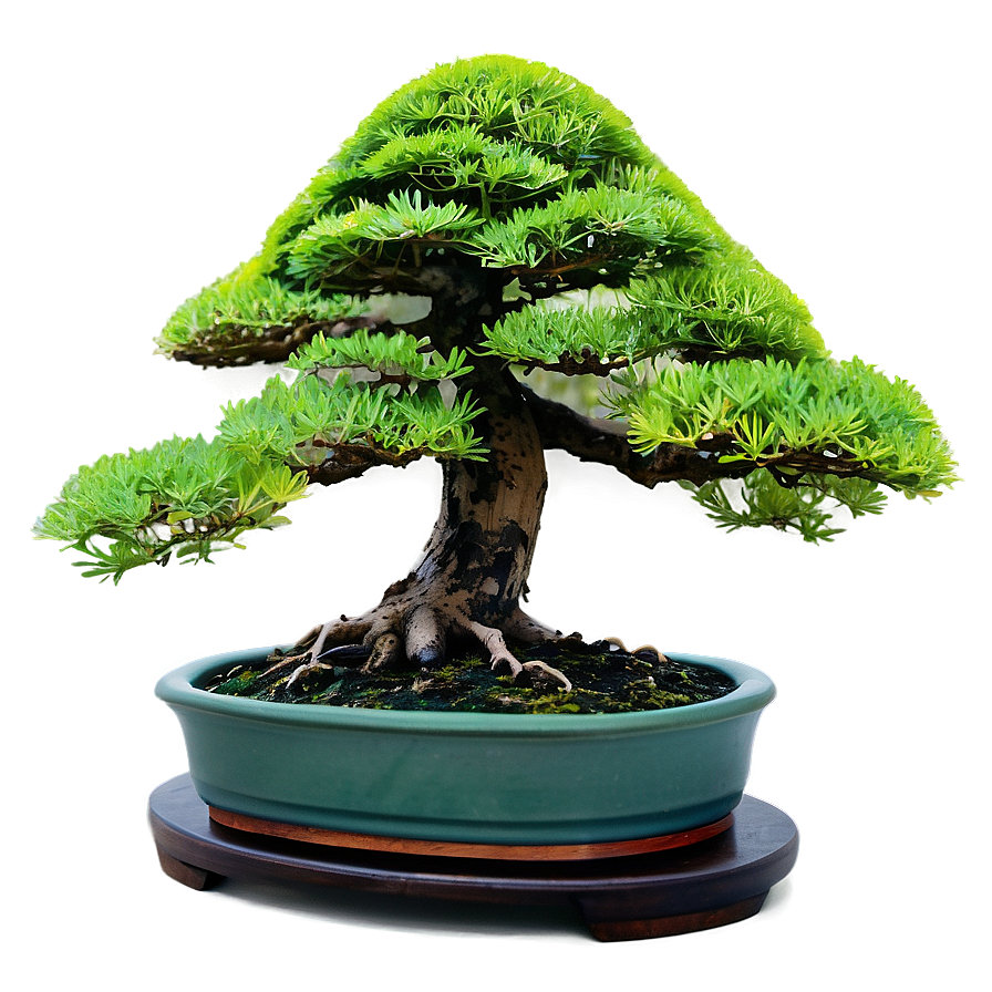 Bonsai Forest Scene Png Nch