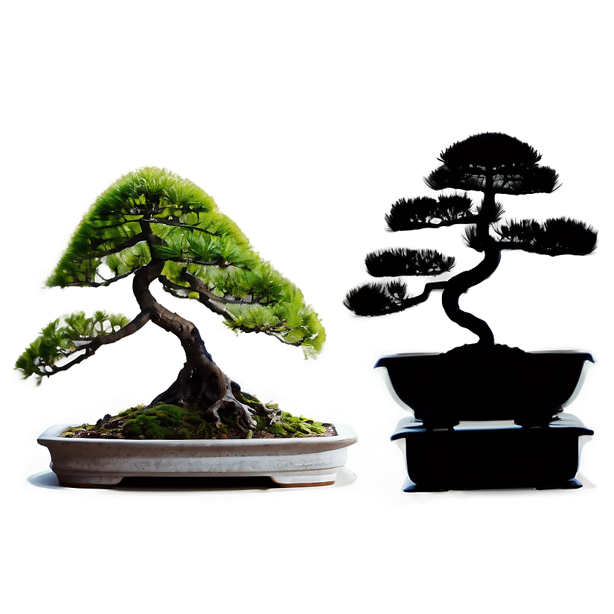 Bonsai Silhouette Png 29