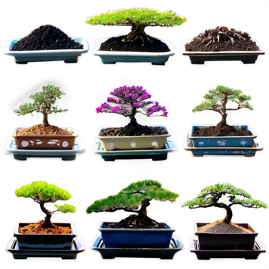 Bonsai Soil Types Png 51