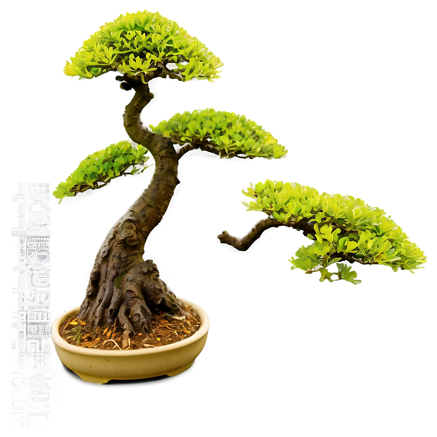 Bonsai Tree Accessories Png 06252024