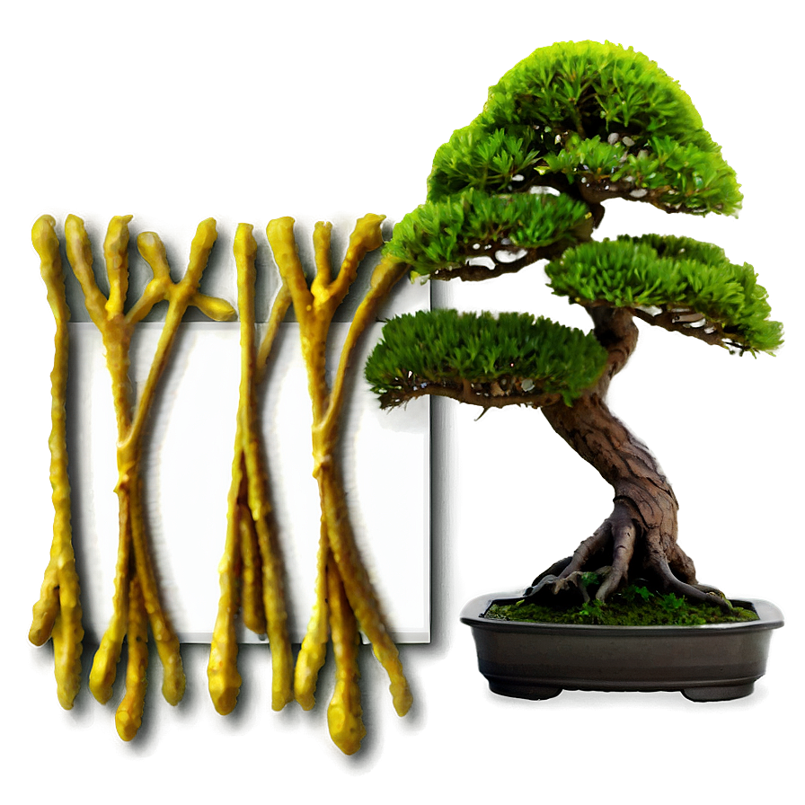 Bonsai Tree Accessories Png Vmr10