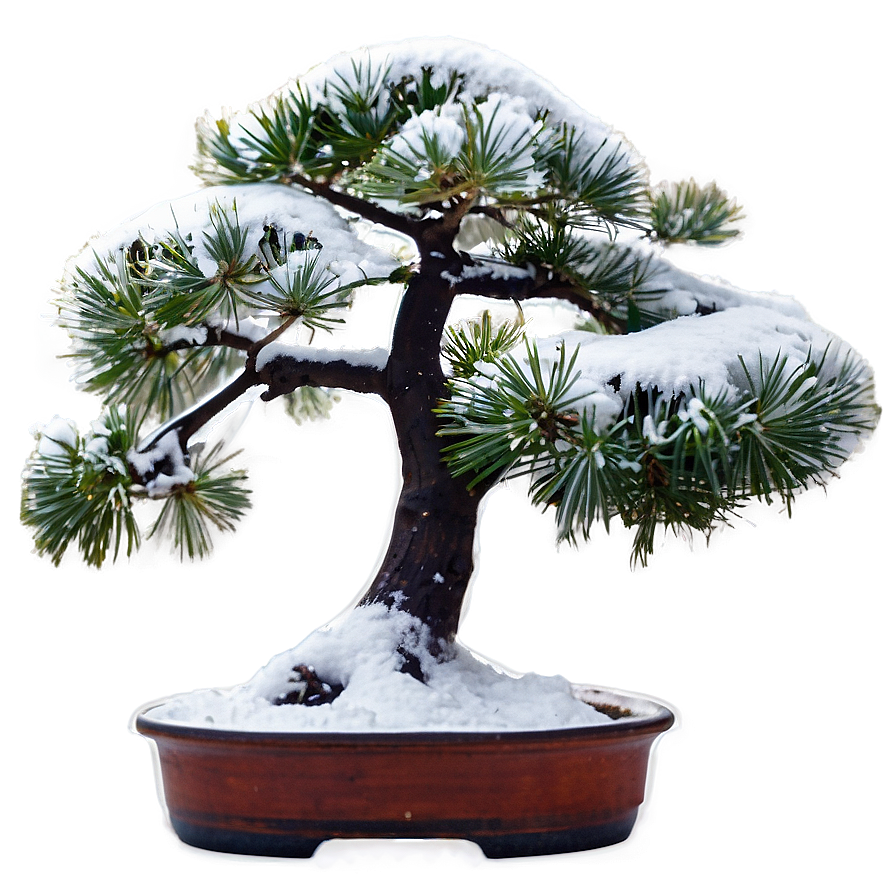 Bonsai Tree In Snow Png Clp