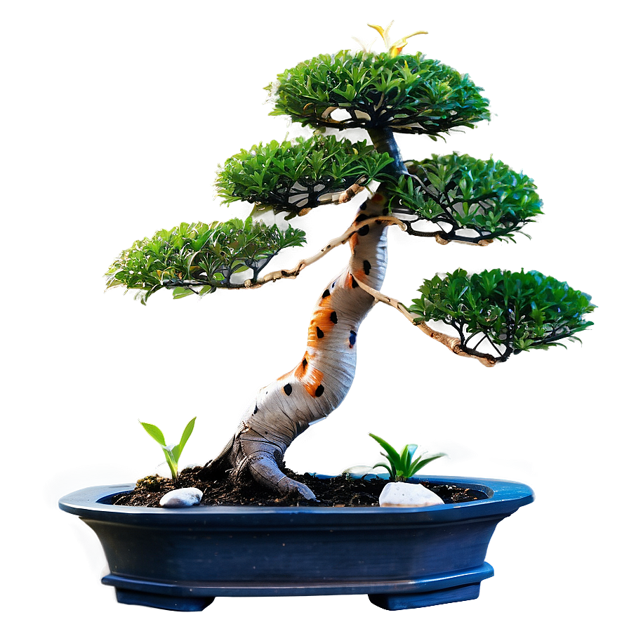 Bonsai Tree With Koi Fish Png Bfv