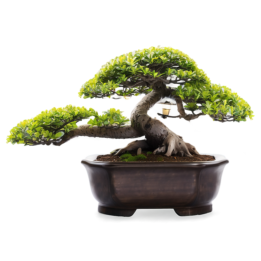 Bonsai Tree With Lanterns Png 31