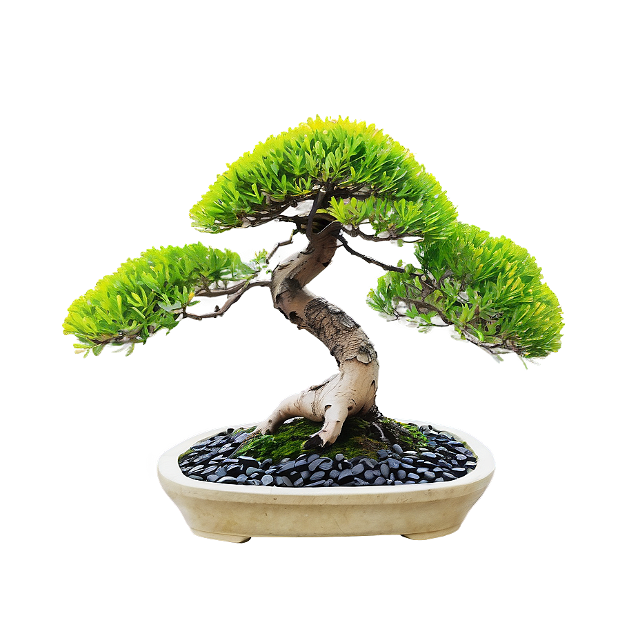 Bonsai Tree With Zen Stones Png Cuj