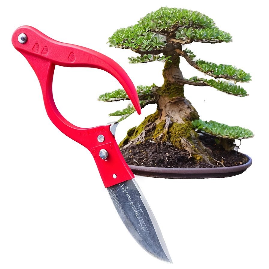 Bonsai Trimming Tools Png 06252024