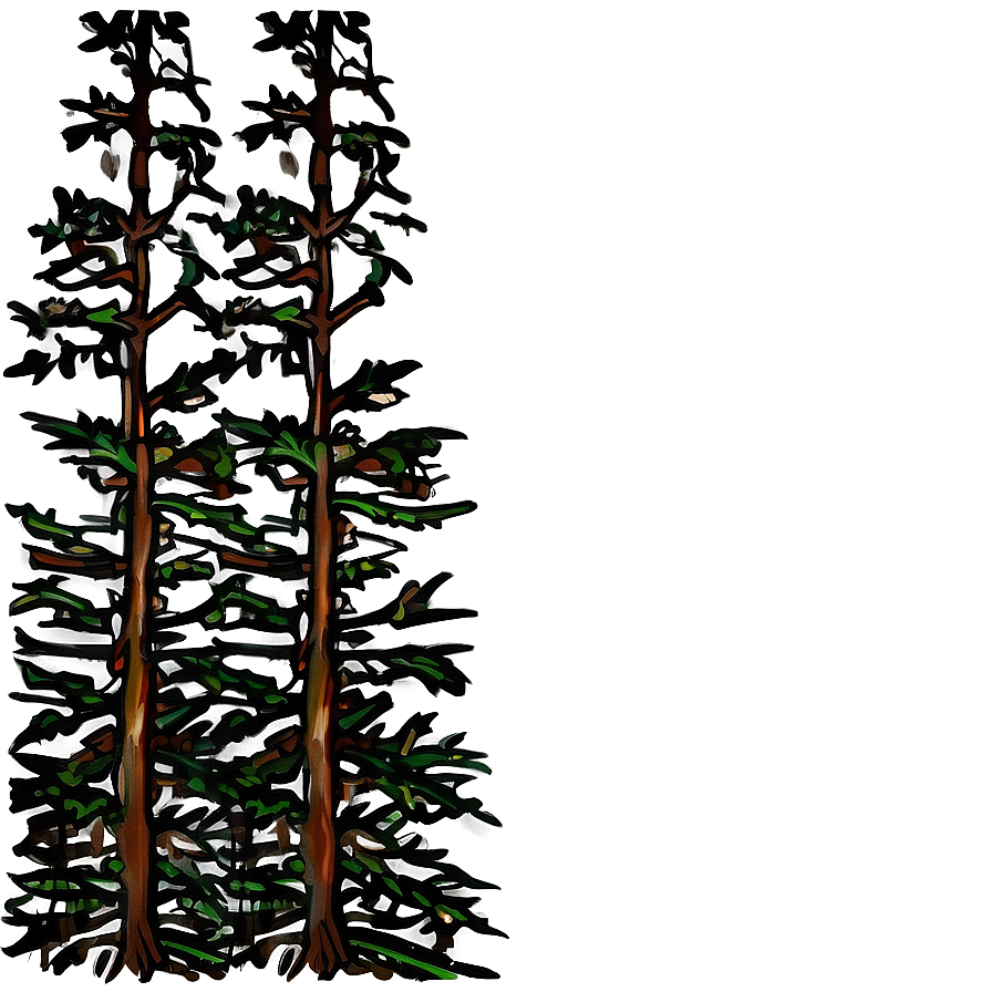 Boreal Forest Clipart Png Nkv