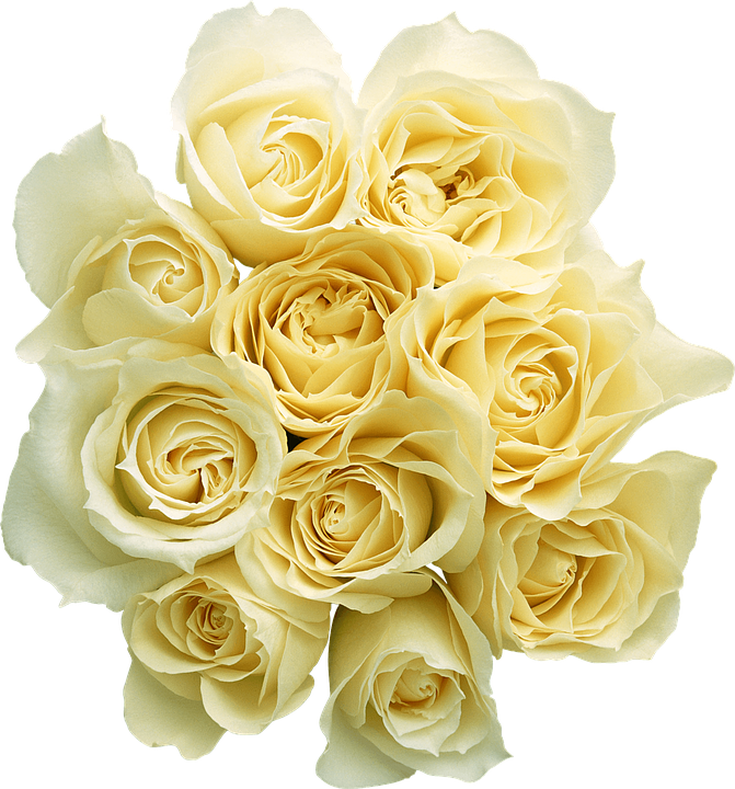 Bouquet_of_ Yellow_ Roses.png