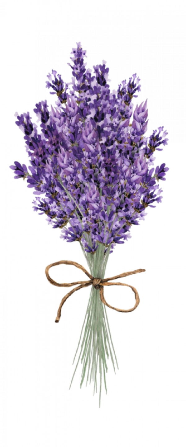 Bouquetof Lavender Flowers.png